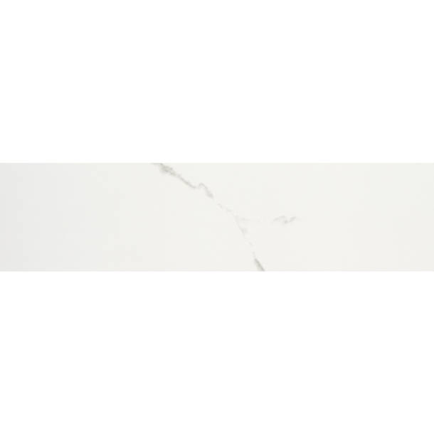 Ivy Hill Tile Hempstead 3" x 24" Porcelain Metal Look Floor Use Tile